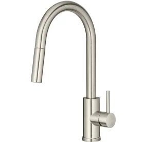 Produto Torneira Monocomando Gourmet de Cozinha Inox (Maldivas Escovada)