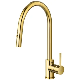 Produto Torneira Monocomando Gourmet de Cozinha (Barbados Dourada)